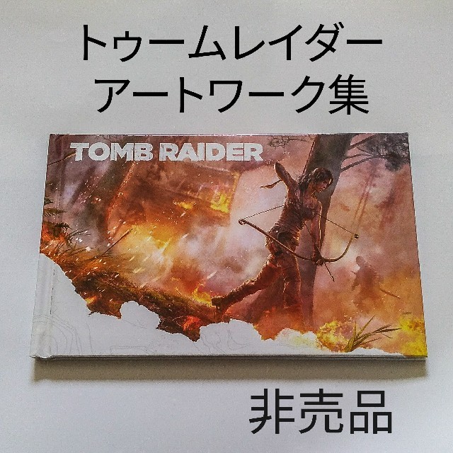 《専用》トゥームレイダー アートワーク集（非売品） エンタメ/ホビーのゲームソフト/ゲーム機本体(家庭用ゲームソフト)の商品写真