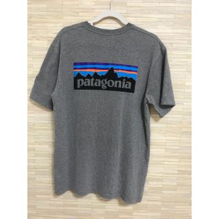 パタゴニア(patagonia)のPatagonia(Tシャツ/カットソー(半袖/袖なし))