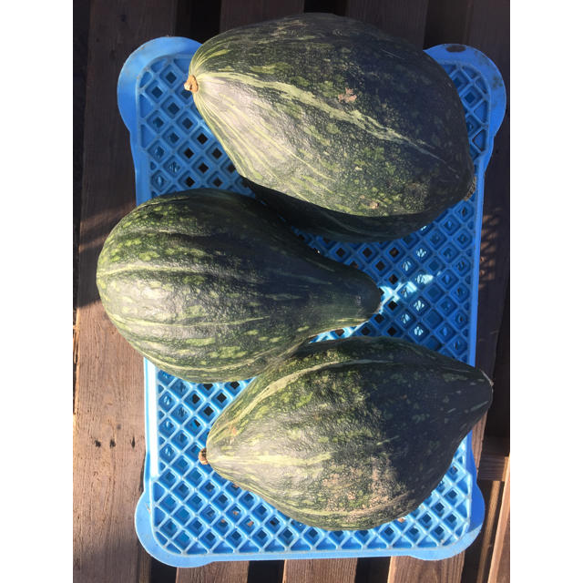 かぼちゃ 食品/飲料/酒の食品(野菜)の商品写真
