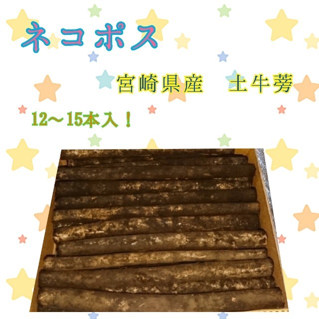 ( ᐢ˙꒳˙ᐢ )♡…土牛蒡 宮崎県産 香りが良いです! 食品/飲料/酒の食品(野菜)の商品写真