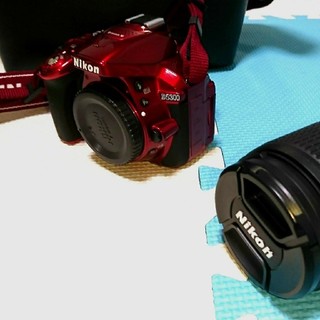 ニコン(Nikon)のニコン D5300 18-140VR Kit (カラー：レッド)&バックセット(デジタル一眼)