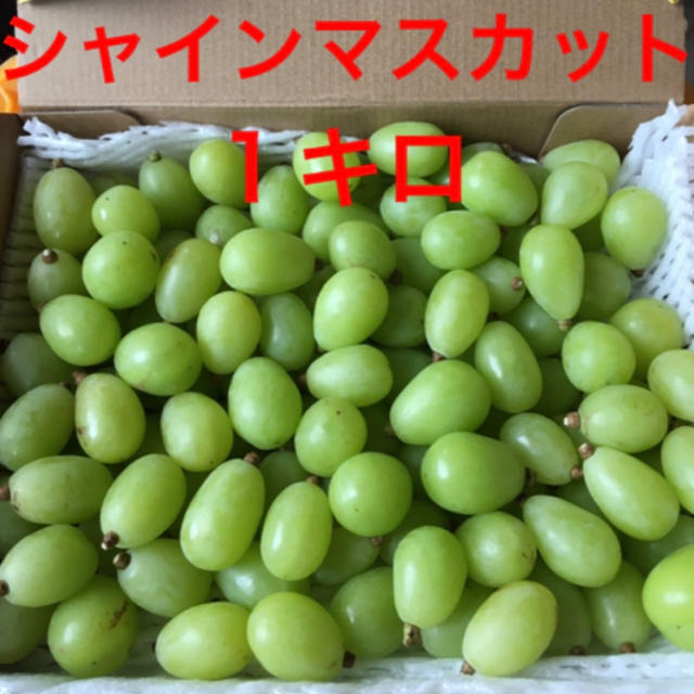 シャインマスカット 訳あり粒1キロ 食品/飲料/酒の食品(フルーツ)の商品写真