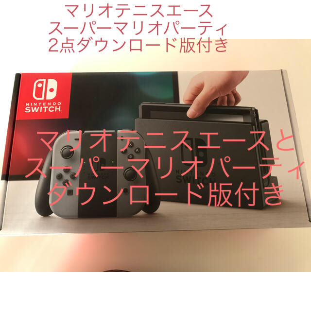 Nintendo Switch 本体 グレー ソフト付