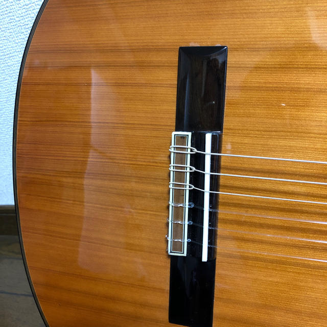 AriaCompany(アリアカンパニー)のギター 楽器のギター(アコースティックギター)の商品写真