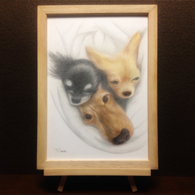 オーダー画/ペット肖像画 モノクロ鉛筆画・水彩色鉛筆画 - 絵画 オーダー画/ペット肖像画 モノクロ鉛筆画・水彩色鉛筆画 - 絵画