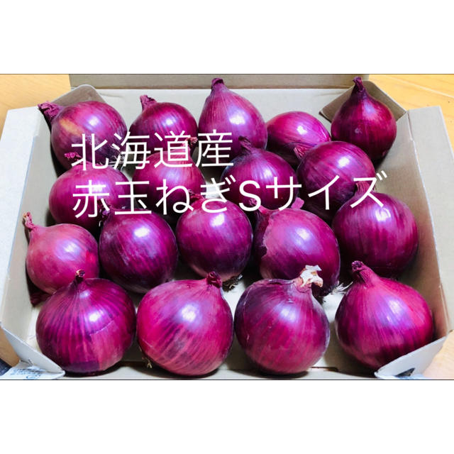 北海道産　sakura's　赤たまねぎSサイズ【お得！食べきりサイズ】の通販　by　shop｜ラクマ