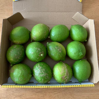 無農薬　グリーンレモン　12個　約1〜1.2kg(フルーツ)