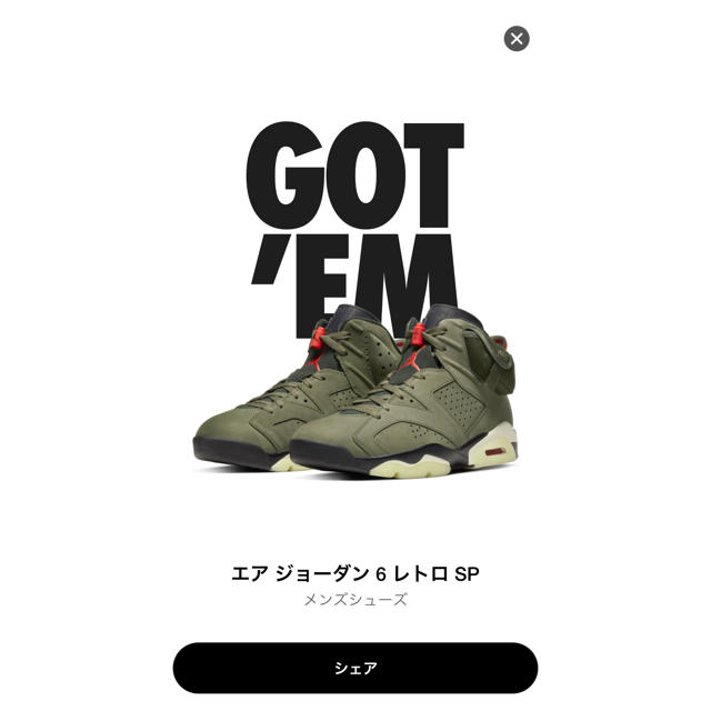 NIKE(ナイキ)のJORDAN6 TRAVIS SCOTT メンズの靴/シューズ(スニーカー)の商品写真