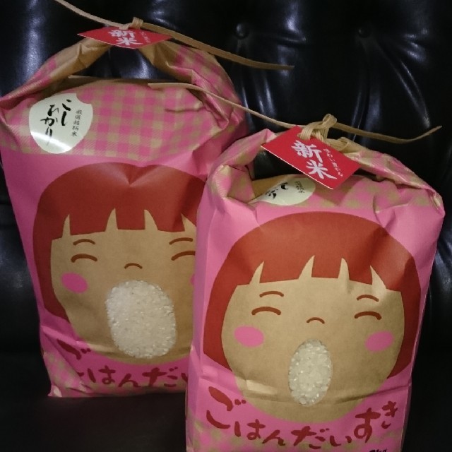 ✳️白米4.5㎏✖️4袋✳️富山県産1等米(検査済)コシヒカリ玄米20㎏を精米食品