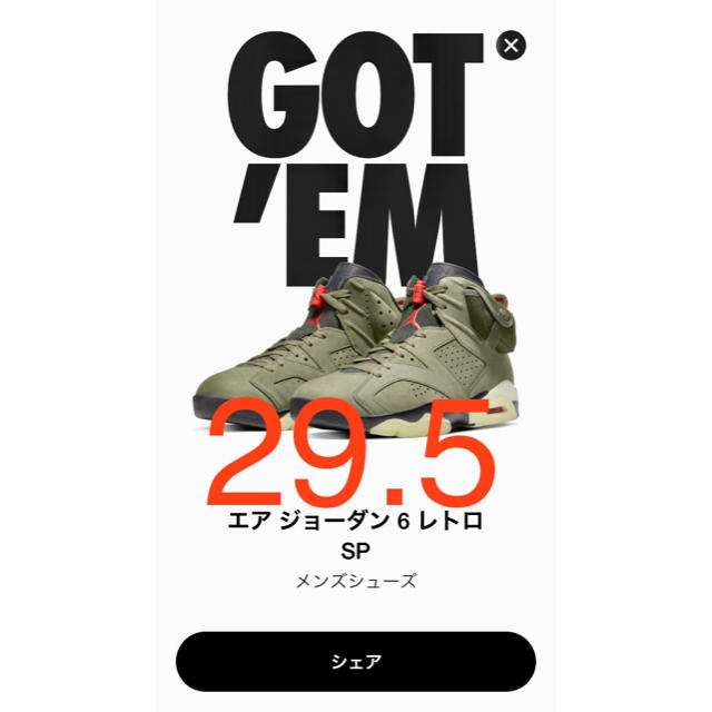 NIKE(ナイキ)のTRAVIS SCOTT × NIKE AIR JORDAN 6 メンズの靴/シューズ(スニーカー)の商品写真