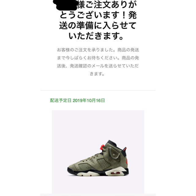 Travis Scott jordan 6 トラヴィススコット　24.5cm