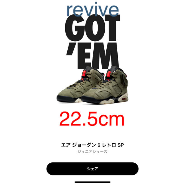 メンズTRAVIS SCOTT NIKE AIR JORDAN 6 RETRO GS