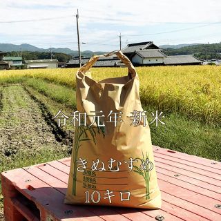 令和元年 2019年度 新米 きぬむすめ 10キロ 兵庫県産(米/穀物)