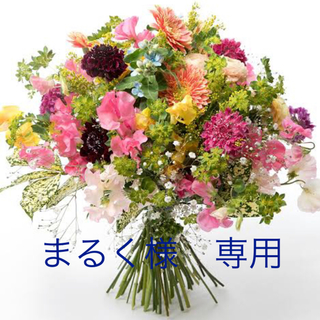 モリナガセイカ(森永製菓)の森永コラーゲンドリンク62本　まとめ売り(コラーゲン)