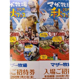 ◆マザー牧場★無料ペアご招待券（二枚）★～2年1月31日まで◆　　　　　(遊園地/テーマパーク)