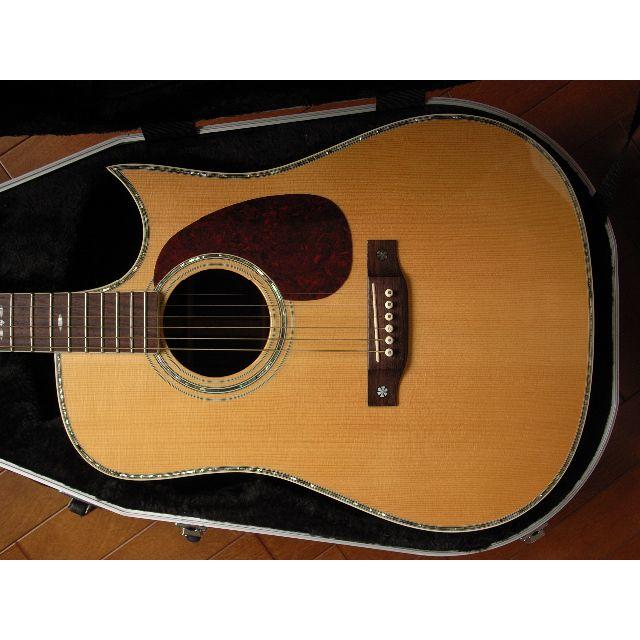 Aria Drednought AD-100FCN 楽器のギター(アコースティックギター)の商品写真