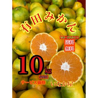 有田みかん 家庭用 本日 24時まで サービス価格(フルーツ)