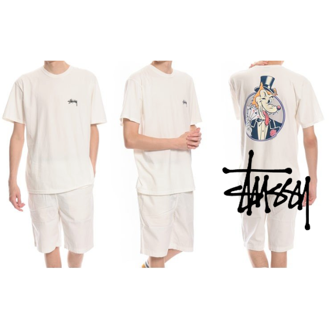 STUSSY ステューシー Ace Pigment Dyed tee