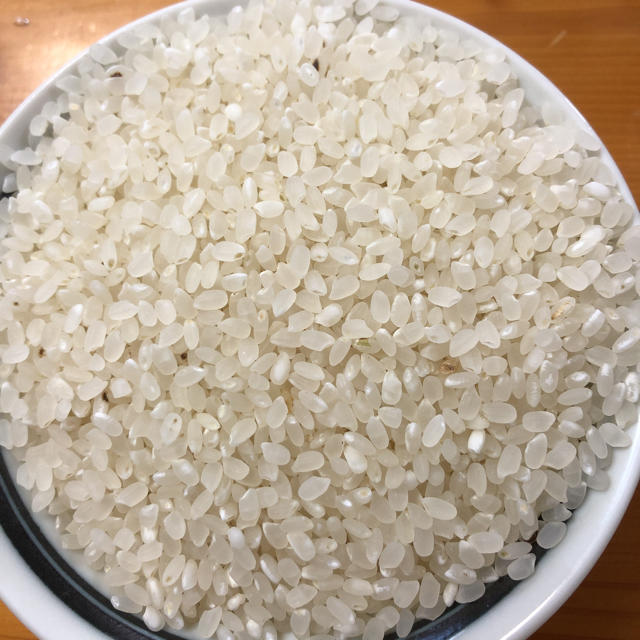 令和元年度　新米コシヒカリ25キロ　訳あり品米/穀物