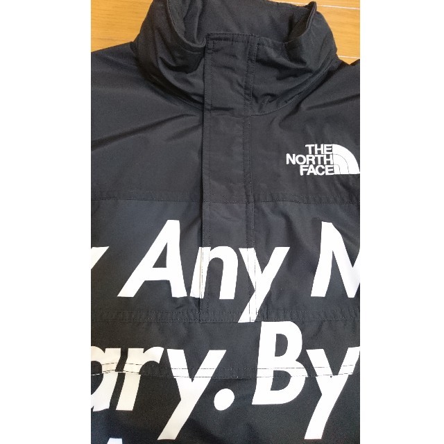 15aw supreme north face M 文字north