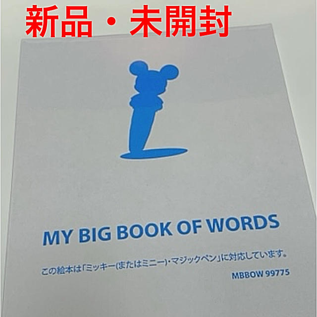 【未開封・レア】DWE My Big Book of Words 絵辞典