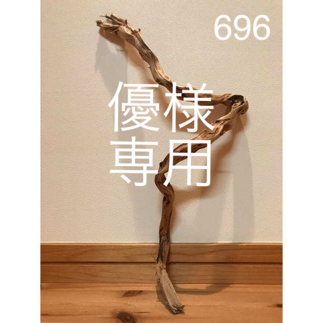 流木【696.806.946】