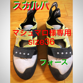 スカルパ(SCARPA)のSCARPA/スカルパ/フォース/サイズ36/ほぼ新品/ボルダリング(その他)