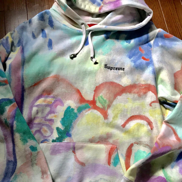 supreme landscape hooded sweat shirts