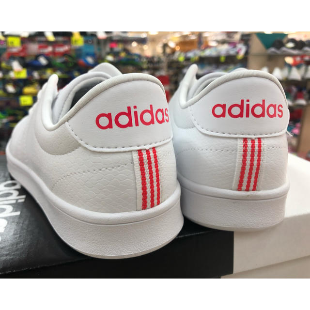 adidas(アディダス)のadidasアディダス バルクリーンQT W 24.0cm カジュアル コート レディースの靴/シューズ(スニーカー)の商品写真