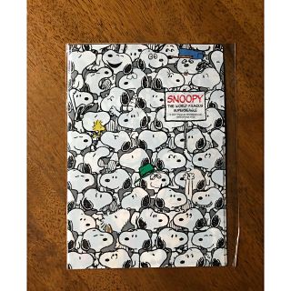 スヌーピー(SNOOPY)ののんのん様✳︎スヌーピークリアファイル(クリアファイル)