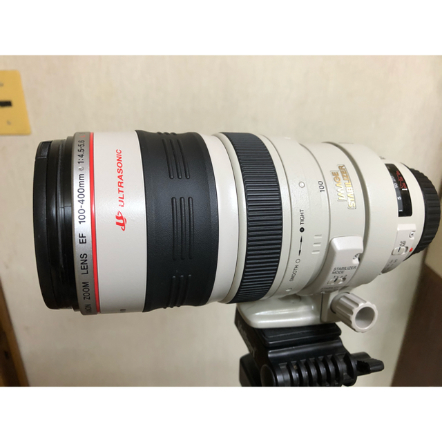 Canon EF100-400mm F4.5-5.6L IS USM