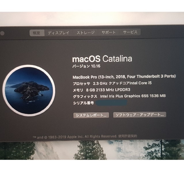 MacBook Pro 2018 i5/8G/512G