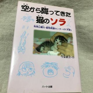 空から降ってきた猫のソラ(絵本/児童書)