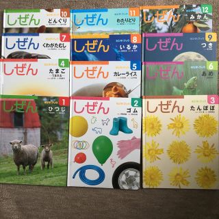 絵本まとめ売り  しぜん  キンダーブック(絵本/児童書)