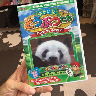 ゆかいなとうぶつたち DVD 3枚セット(キッズ/ファミリー)