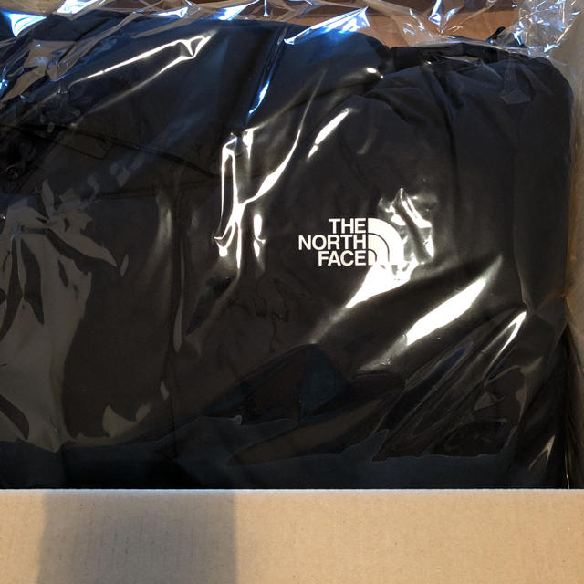 THE NORTH FACE(ザノースフェイス)の(はるきん様専用)The North Face Hyke WS Big Down メンズのジャケット/アウター(ダウンジャケット)の商品写真