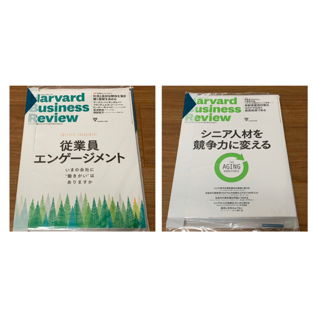 ダイヤモンド社(ダイヤモンドシャ)のDIAMONDハーバード・ビジネス・レビュー 2019年 4月号、11月号   エンタメ/ホビーの雑誌(ビジネス/経済/投資)の商品写真