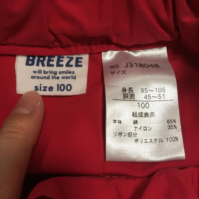 BREEZE(ブリーズ)のjill様専用☆フレアスカート 100 キッズ/ベビー/マタニティのキッズ服女の子用(90cm~)(スカート)の商品写真