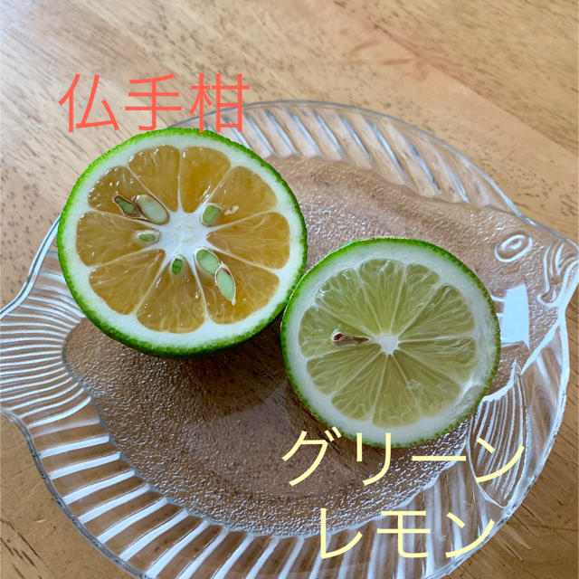 無農薬　グリーンレモン　12個　約1〜1.2kg 食品/飲料/酒の食品(フルーツ)の商品写真