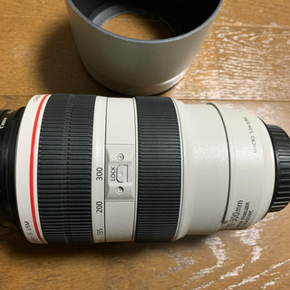 キヤノン(Canon)のCanon キヤノン EF 70-300mm F4-5.6 USM 望遠 レンズ(レンズ(ズーム))