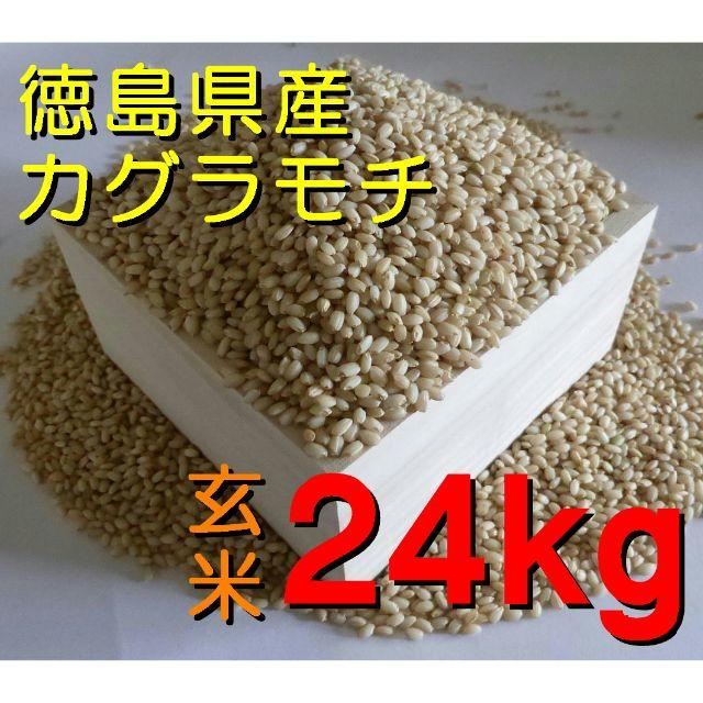 令和元年産　カグラモチ（もち米）　玄米24kg　徳島産　新米／色選