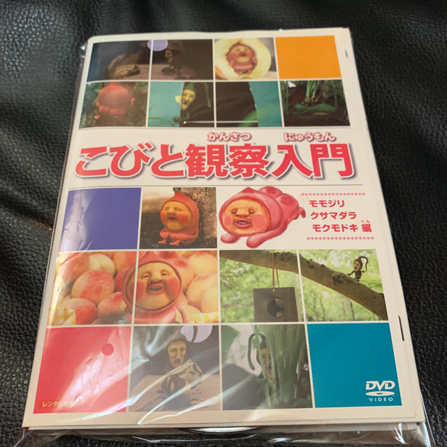 こびと観察入門　DVD 7巻セット
