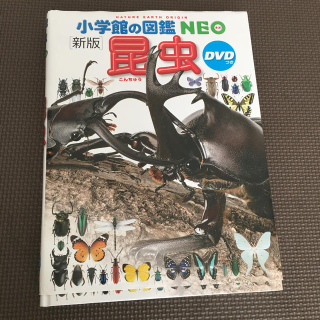 小学館の図鑑NEO〔新版〕 昆虫 DVDつき