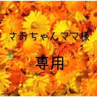 さおちゃんママ様専用  お米　令和元年　愛媛県産ミルキークイーン　白米　5㎏(米/穀物)