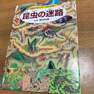 昆虫の迷路　他6冊(絵本/児童書)