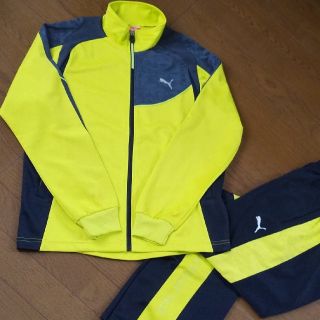 プーマ(PUMA)の【希少カラー】PUMA ジャージ セットアップ(ジャージ)