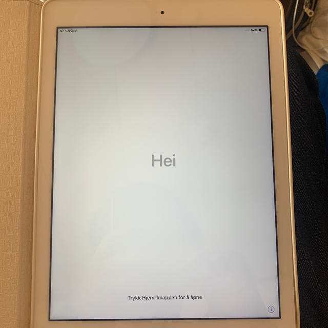 iPad 初期　32GB ゴールド