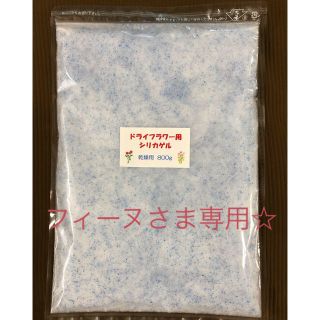 フィーヌさま専用☆ ドライフラワー用シリカゲル 乾燥剤 800g(ドライフラワー)