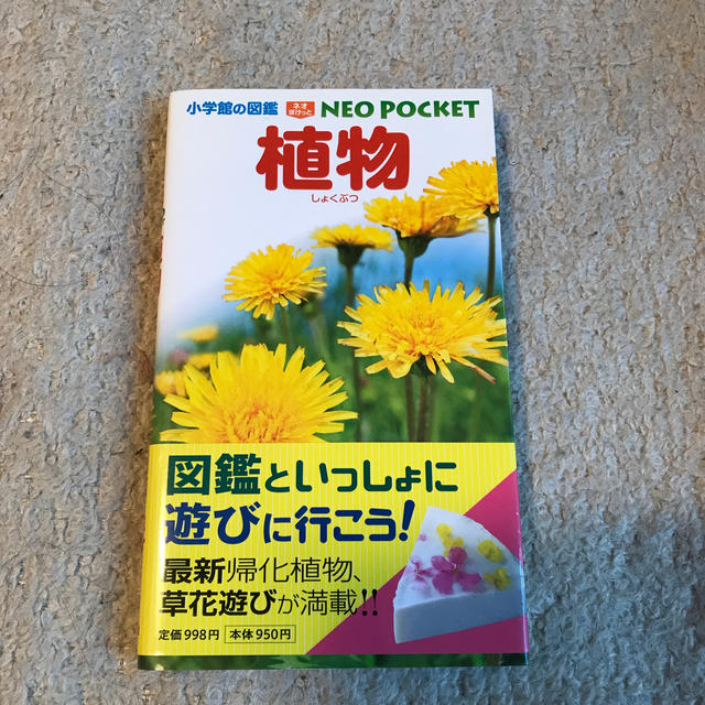 小学館(ショウガクカン)の専用　小学館の図鑑 NEO POCKET -ネオぽけっとー 植物 エンタメ/ホビーの本(絵本/児童書)の商品写真