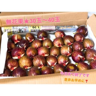 無花果☆30玉〜40玉 約3kg 石川県農家直送★10月末で終了となります！(フルーツ)